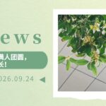 【为明 News】第四周｜秋风送桂香，月满人团圆，为明暖意长！